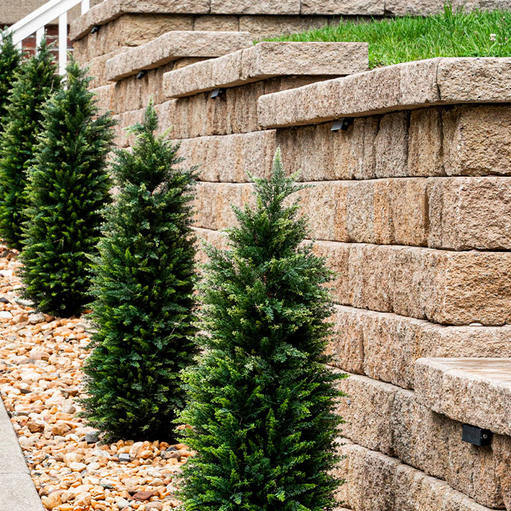 Planted Retaining Wall